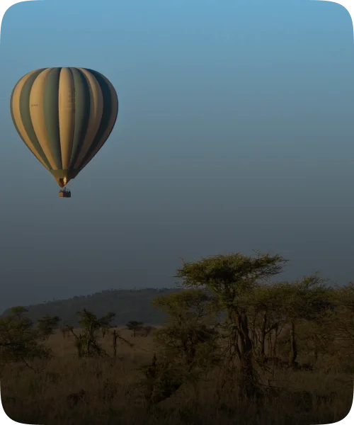 Adventure safari experience in Tanzania