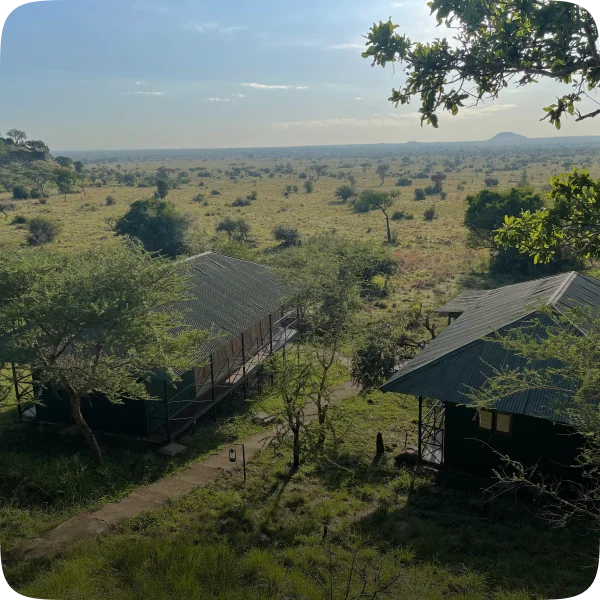 Luxury safari short stay in Tanzania