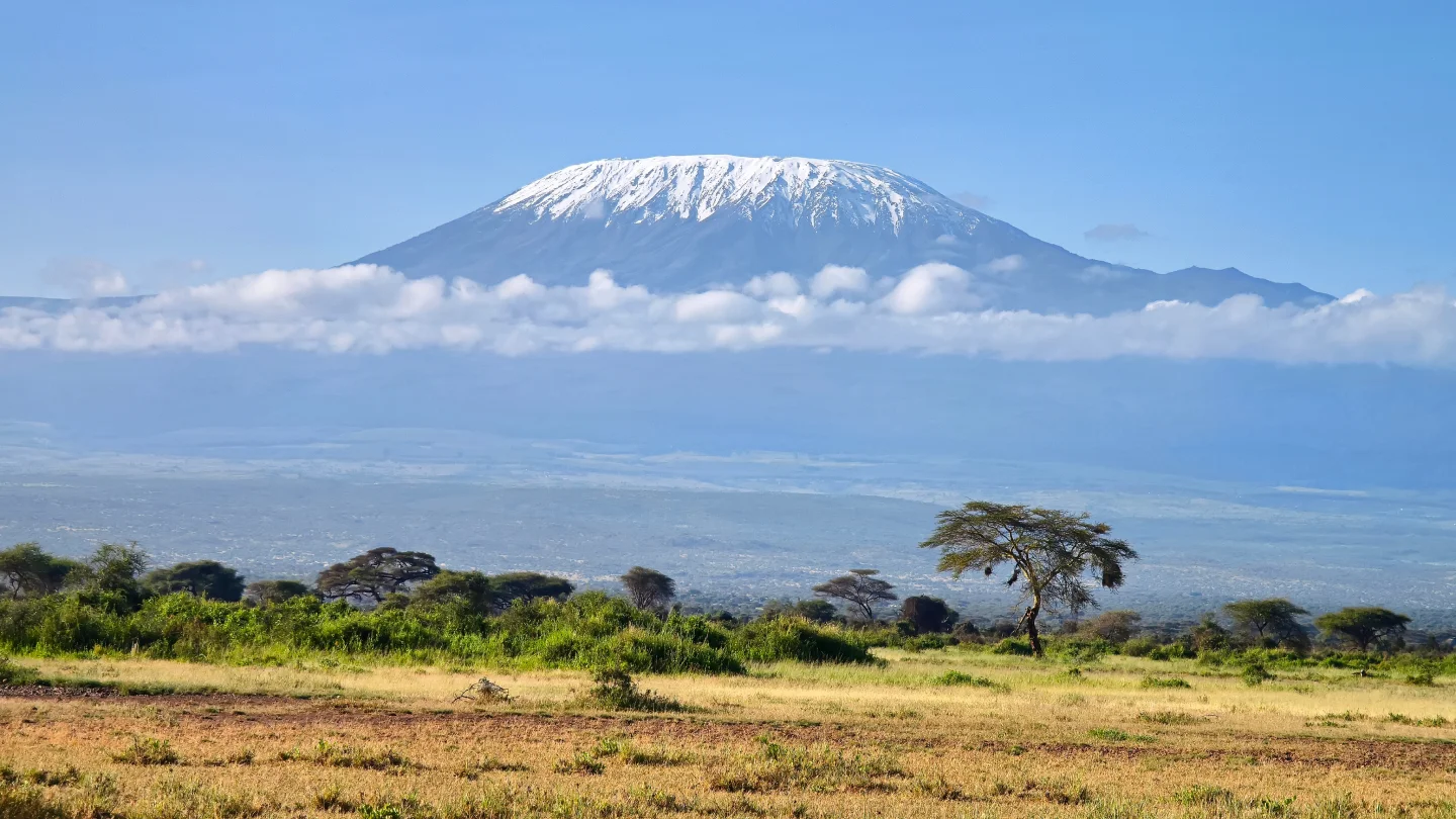 Luxury Tour Operator in Tanzania